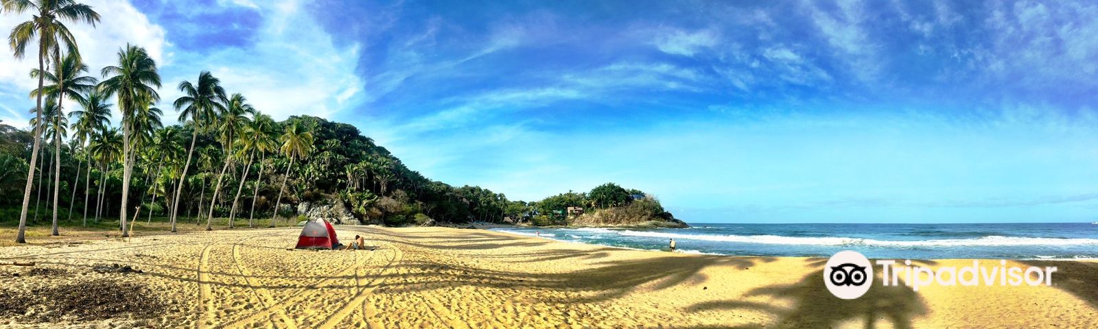 Bahia de BanderasDay tours