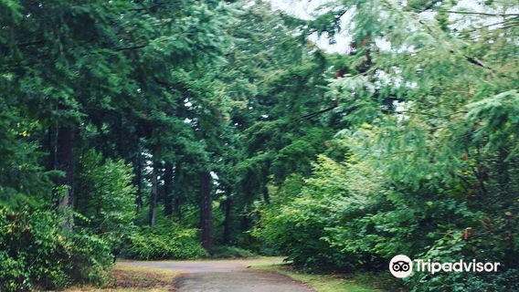 Pacific Community Park