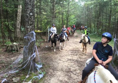 Mustang Alley Riding Stables