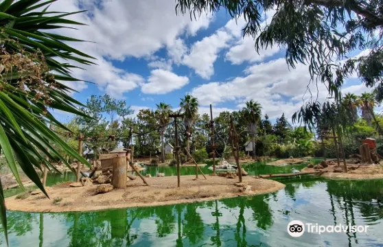 拉各斯動物園門票小童