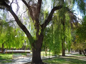 Plaza Gertrudis Funes