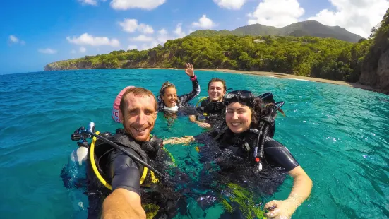 Montserrat Island Dive Centre