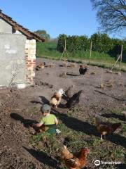 Ferme d'animation du Long Réage