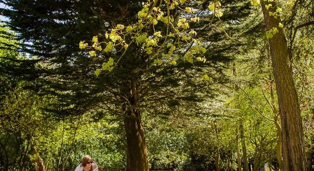 Old Down Country Park & Weddings