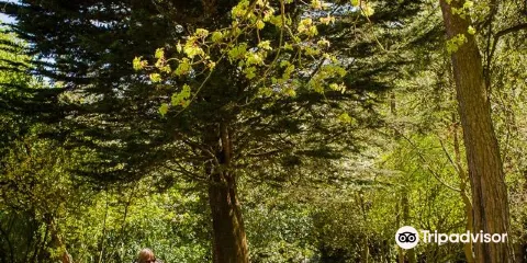 Old Down Country Park & Weddings