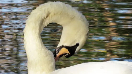 Petmasters Bird Park