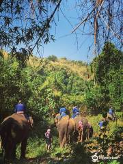 Elephants' Home and Nature บ้านช้าง และธรรมชาติ