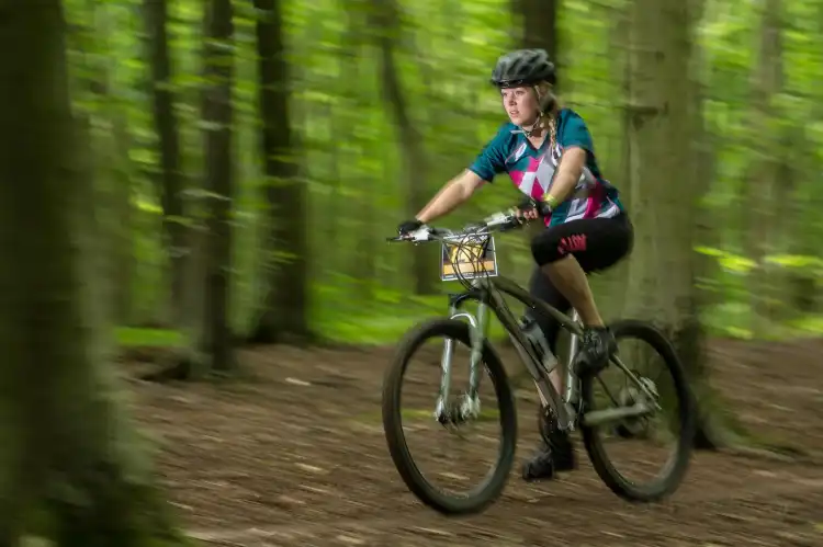 Hotels near Stanmer Park Nature Reserve