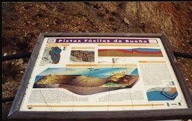 Yacimiento Paleontologico