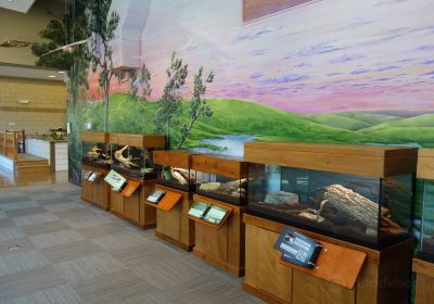 Hickory Knolls Discovery Center