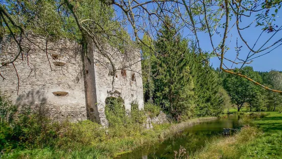 Ruine Painburg