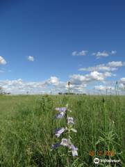 Bluestem Prairie Preserve