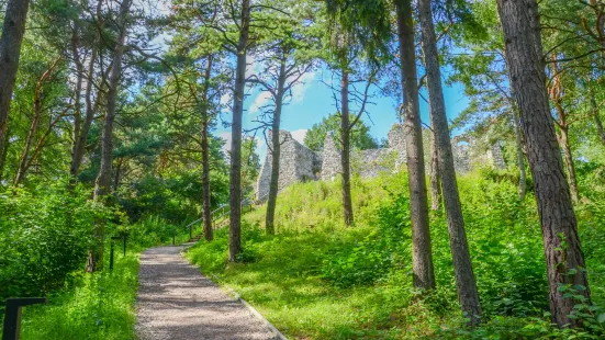Castle Ruins in Bydlin
