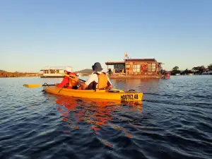 Lazy Paddles