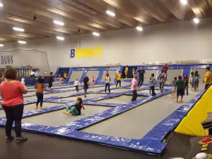 Bounce Trampoline Park