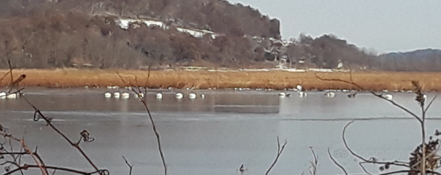 Riecks Lake Park and Camp Ground