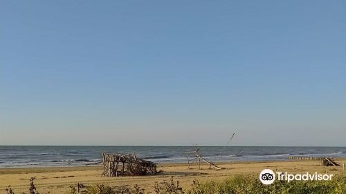 Riserva Naturale Foce Del Tagliamento