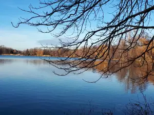 Шванентайхпарк Цвиккау