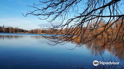 Schwanenteichpark