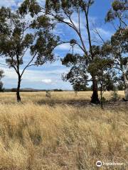 Mount Doboobetic Bushland Reserve