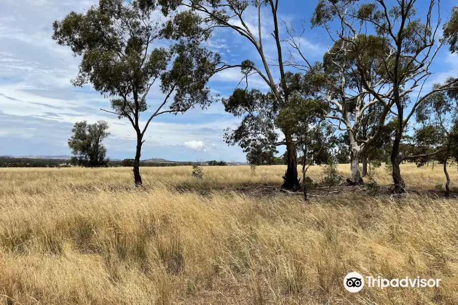 Mount Doboobetic Bushland Reserve