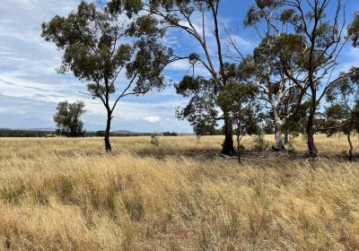 Mount Doboobetic Bushland Reserve