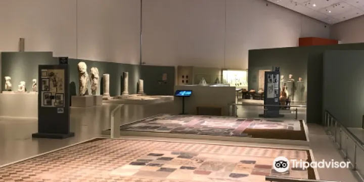 派特雷考古博物館