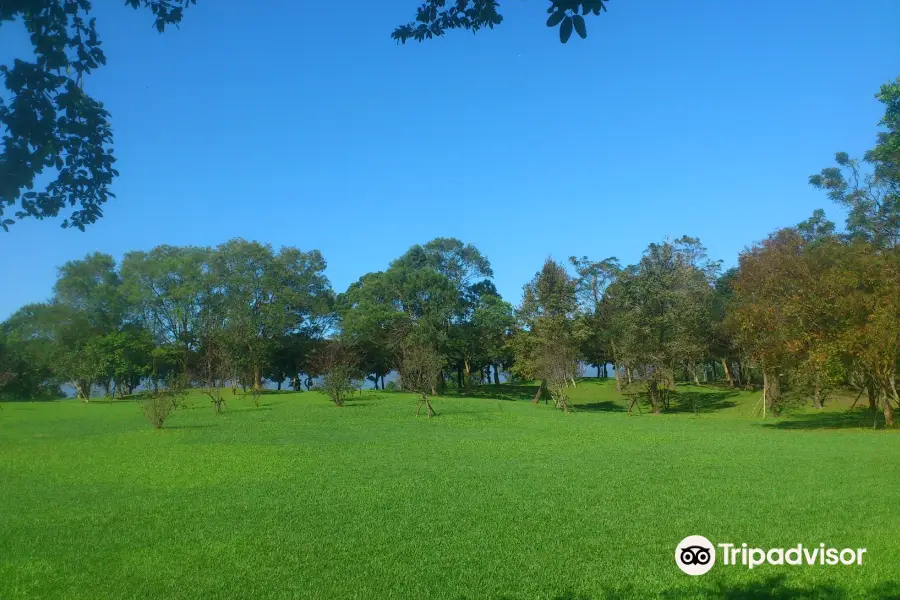 羅東運動公園