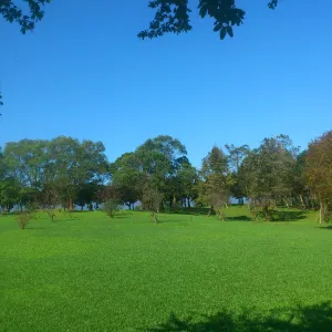 羅東運動公園