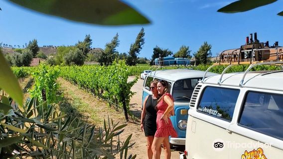 Van’N Boozy – Temecula Wine Tours and Brew Tours