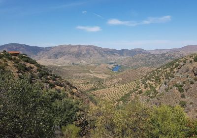 Guarda District