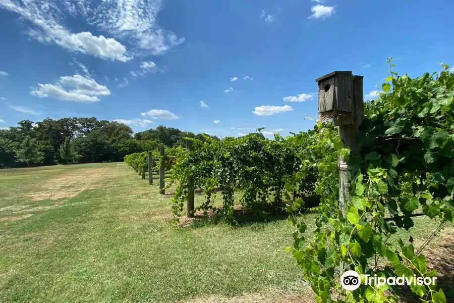 Century Farm Winery