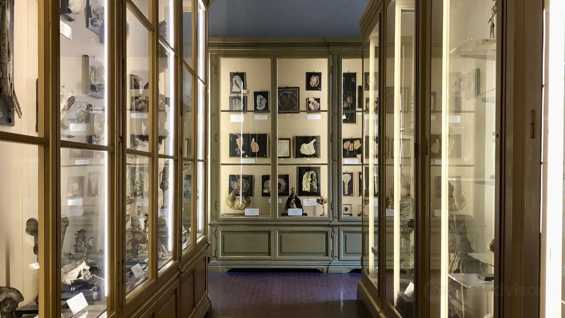 Hotels near Collezione delle Cere Anatomiche