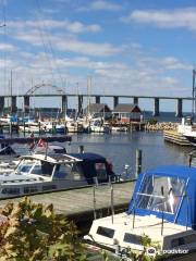 Rudkøbing Hafen