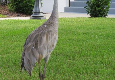 Pasco County Courthouse