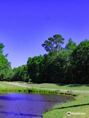 The Players Course at Wyboo