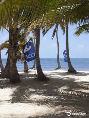 Kitesurf Punta Cana - KBS School