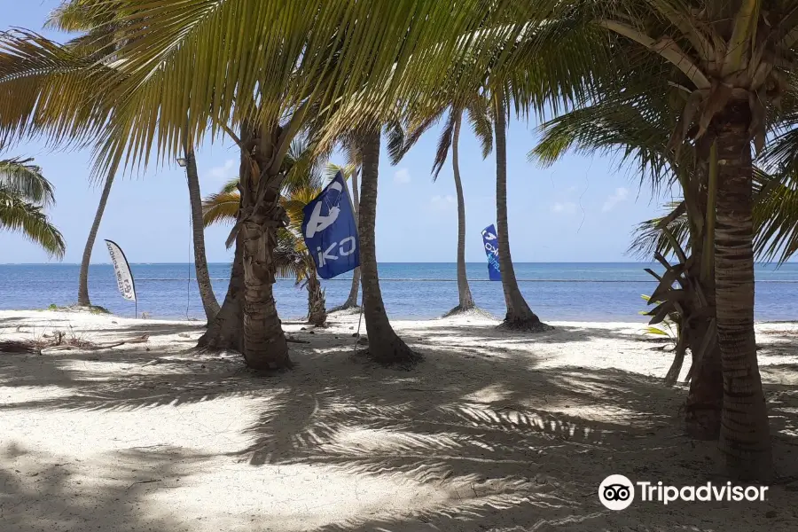 Kbs Kitesurf School Punta Cana