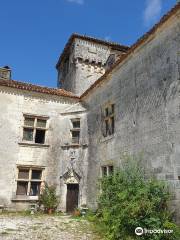 Castle de Mareuil