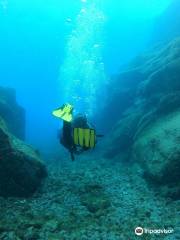Diamond Dive Center Ocean Dreams Tenerife