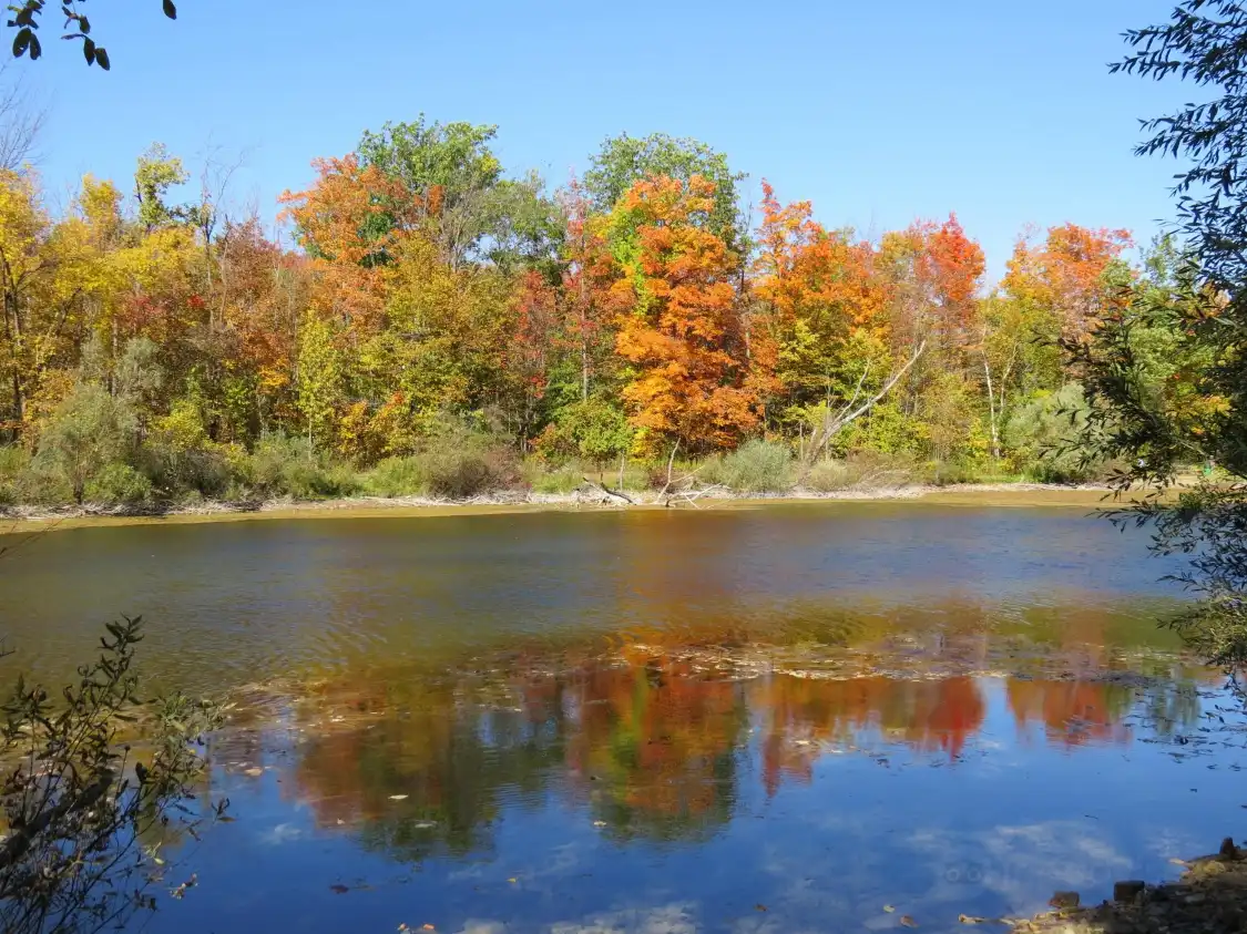 Hotels near Terra Cotta Conservation Area