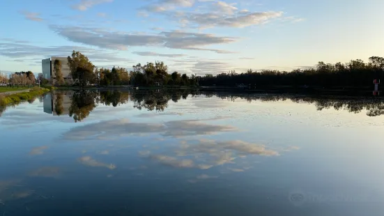 Victoria Park Lake