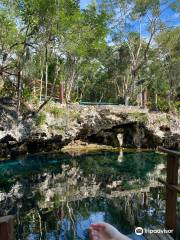 Cenote Nicte-ha