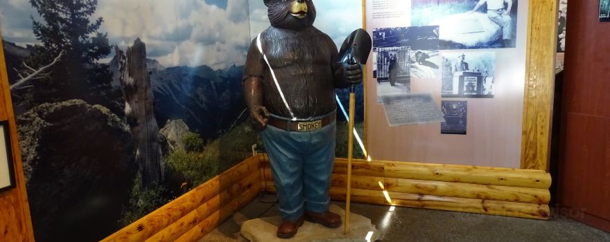Smokey Bear Museum Gift Shop