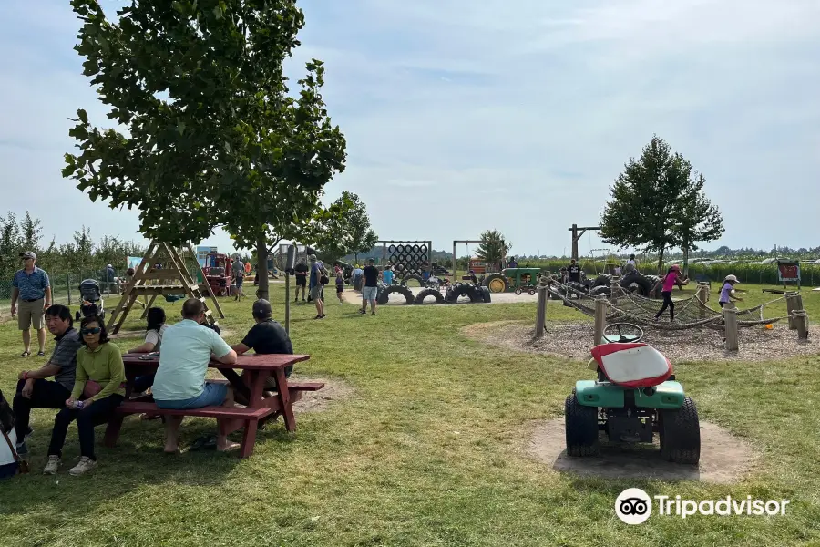 Thiessen Orchards Farmer