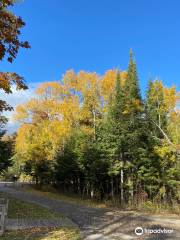 Civilian Conservation Corp Museum