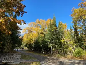 Civilian Conservation Corp Museum