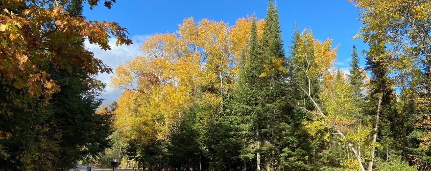 Beaver Creek Township