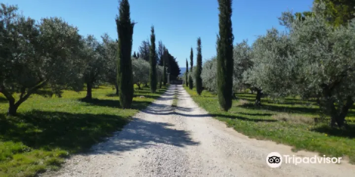 Moulin & Domaine Oliversion