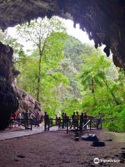 Cave of Guacharo